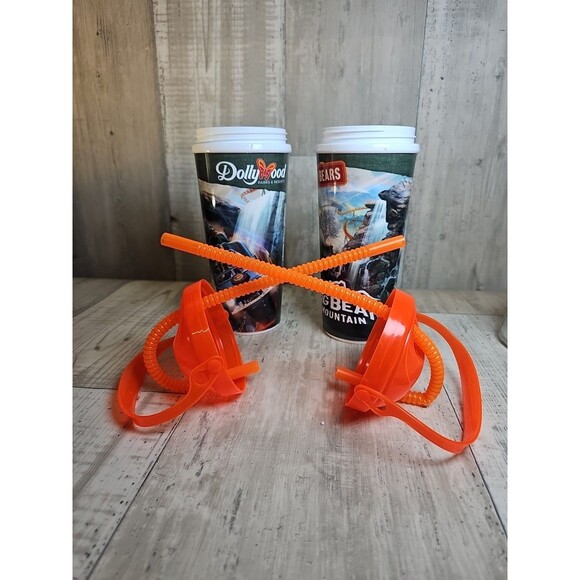 Dollywood Big Bear Mountain Souvenir Tumbler Cups 24oz Pair 2023 Clean - Picture 4 of 8